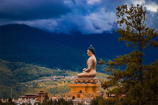 What type of Tours Packages you will get in Bhutan?